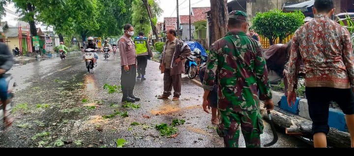 Pohon Tumbang di Jl. Brawijaya Kec. Pungging