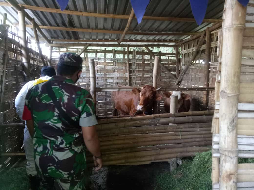 Penyemprotan Disenfektan di Kandang Ternak, Antisipasi Penyebaran Virus PMK