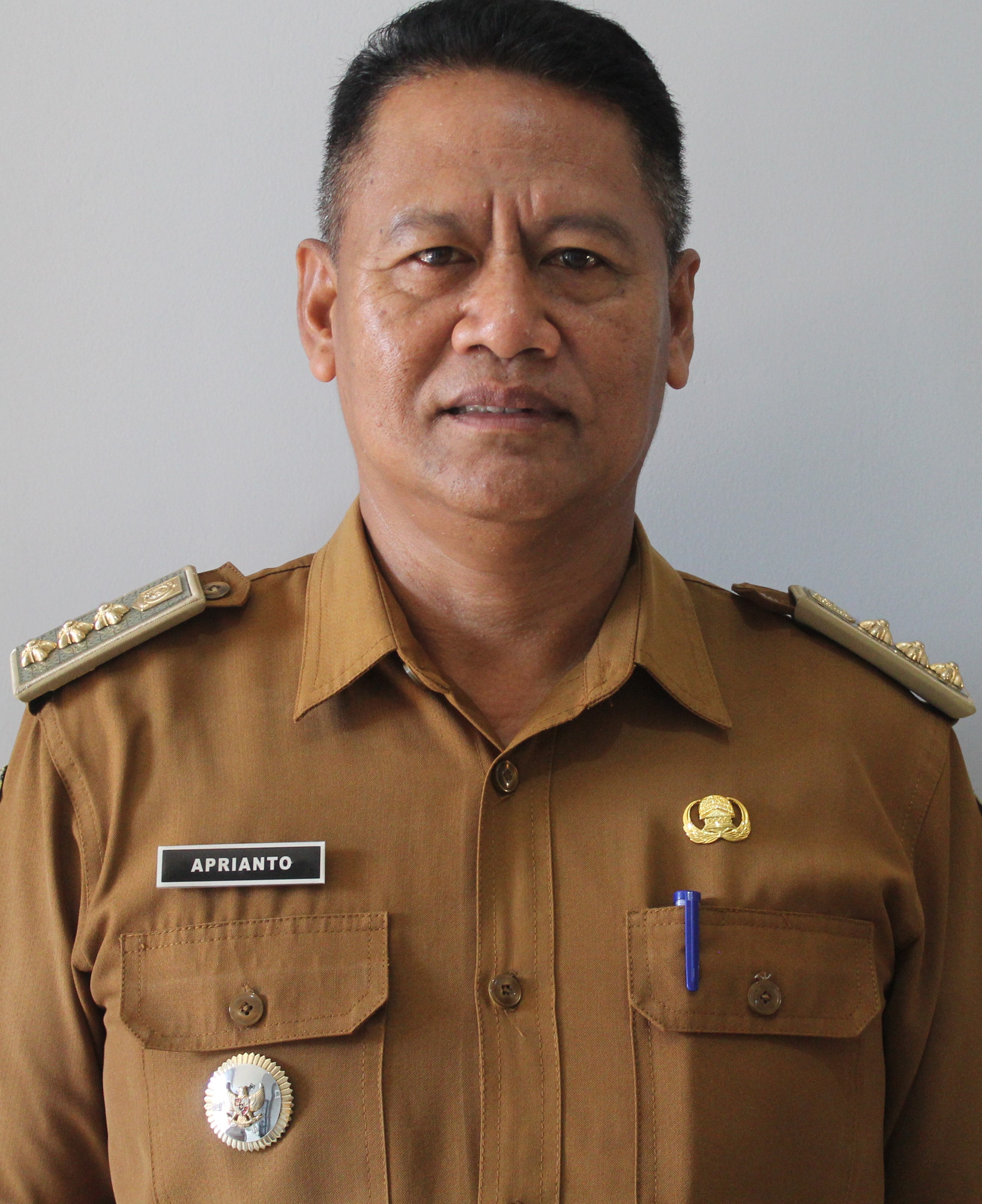 Profil Camat Pungging